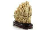Fascinating, Calcite/Aragonite Stalactite Formation - China #377336-2
